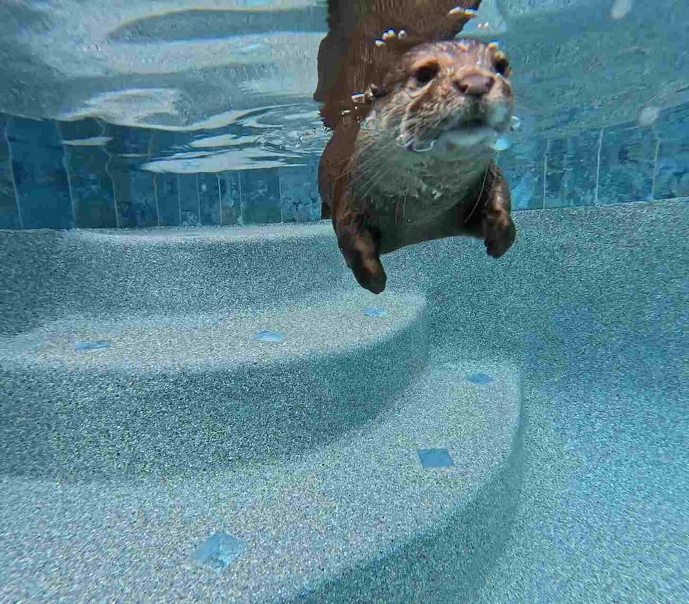 splash.jpg